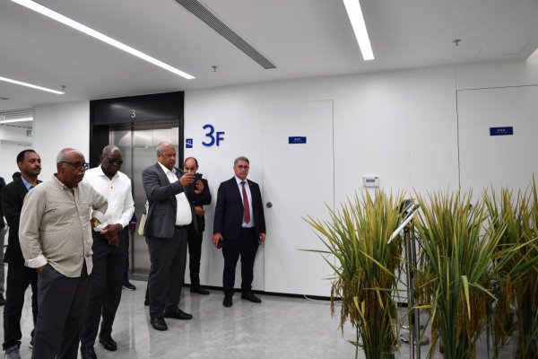 配资知识网 新华鲜报｜非洲50国驻华外交官走进湖南：中非合作会越来越好！_大皖新闻 | 安徽网