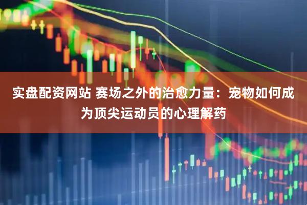 实盘配资网站 赛场之外的治愈力量：宠物如何成为顶尖运动员的心理解药